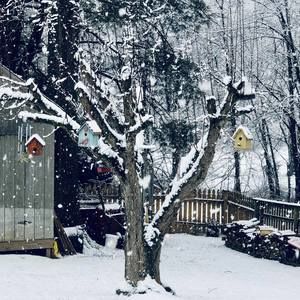 Meet your Posher, Valle